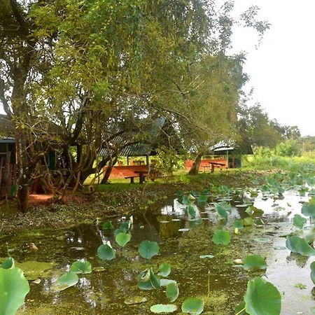 Meegahapokuna Resort Анурадхапура Екстериор снимка