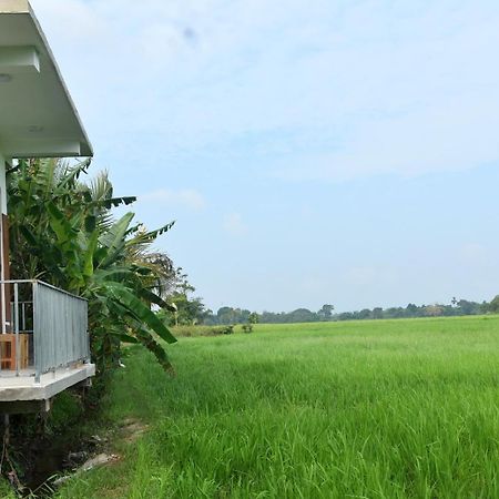Meegahapokuna Resort Анурадхапура Екстериор снимка