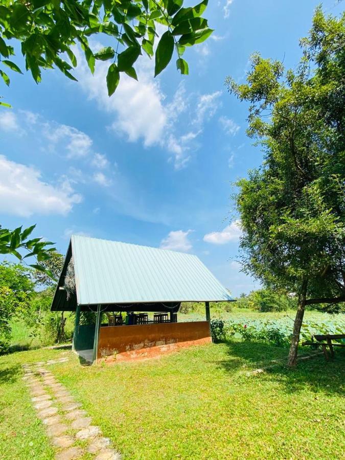 Meegahapokuna Resort Анурадхапура Екстериор снимка