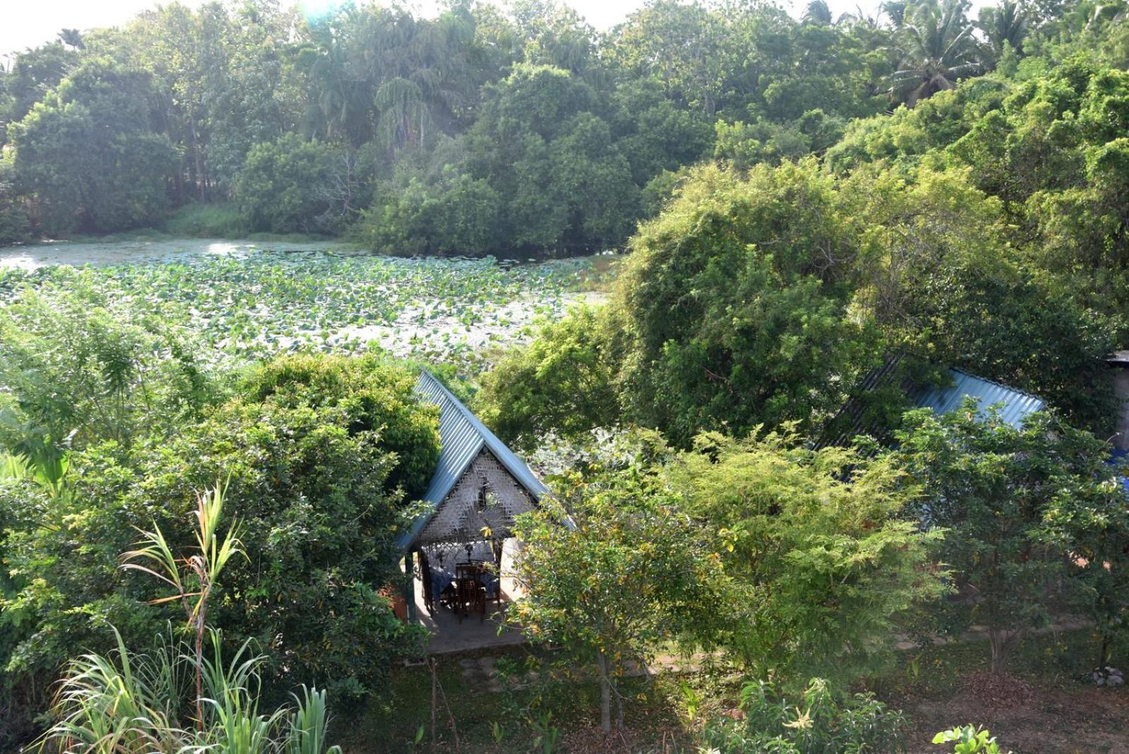 Meegahapokuna Resort Анурадхапура Екстериор снимка